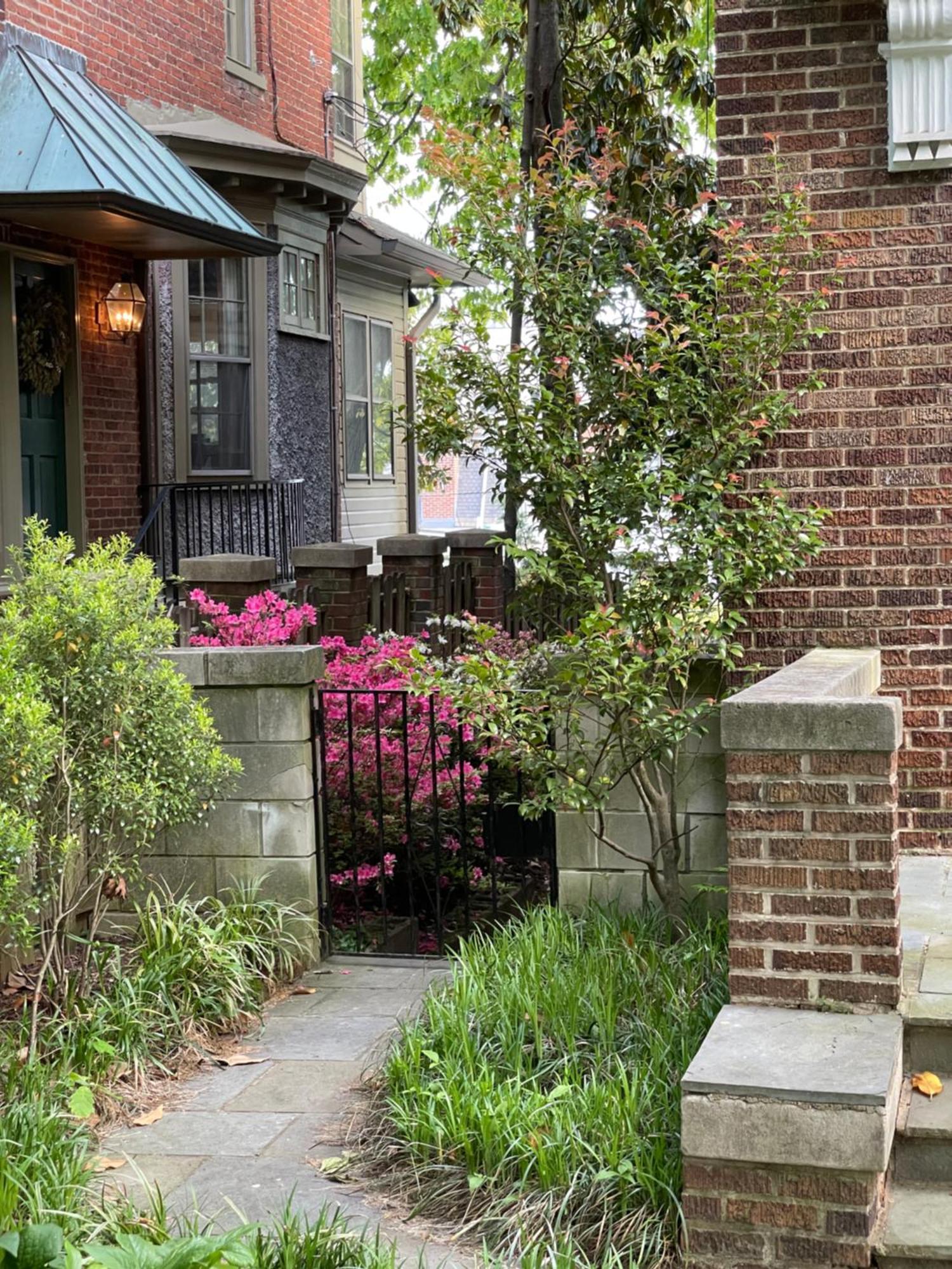 2 Bedroom By Zoo, Metro, Park And Embassies In Forest Hills - Best Location Washington Exterior photo